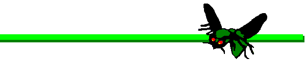 Line 1